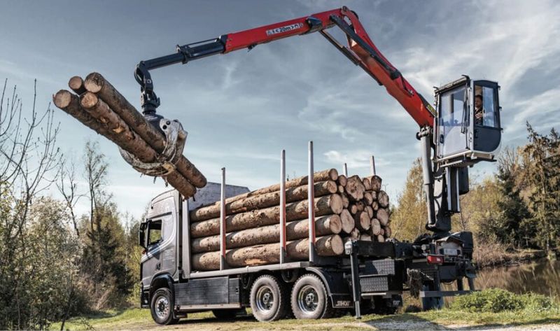 Grue foresti�re